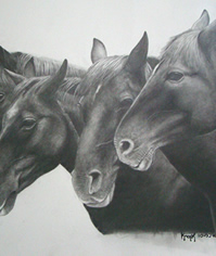 horses pencil drawing